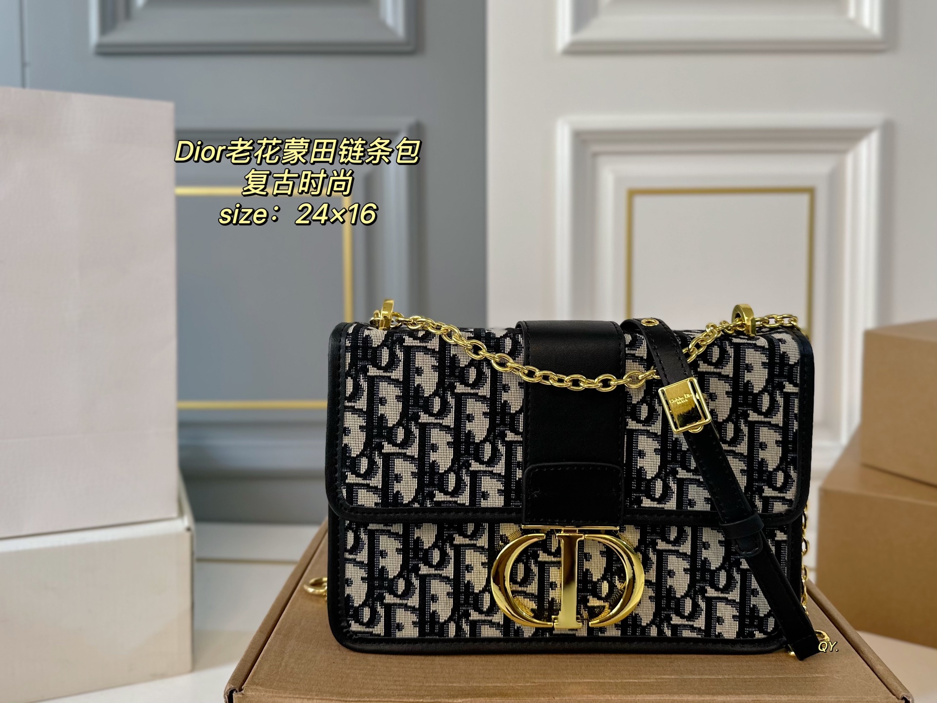 DIOR bag 07